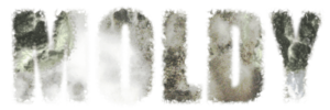 Moldy Movie about mold toxicity, illness and treatment